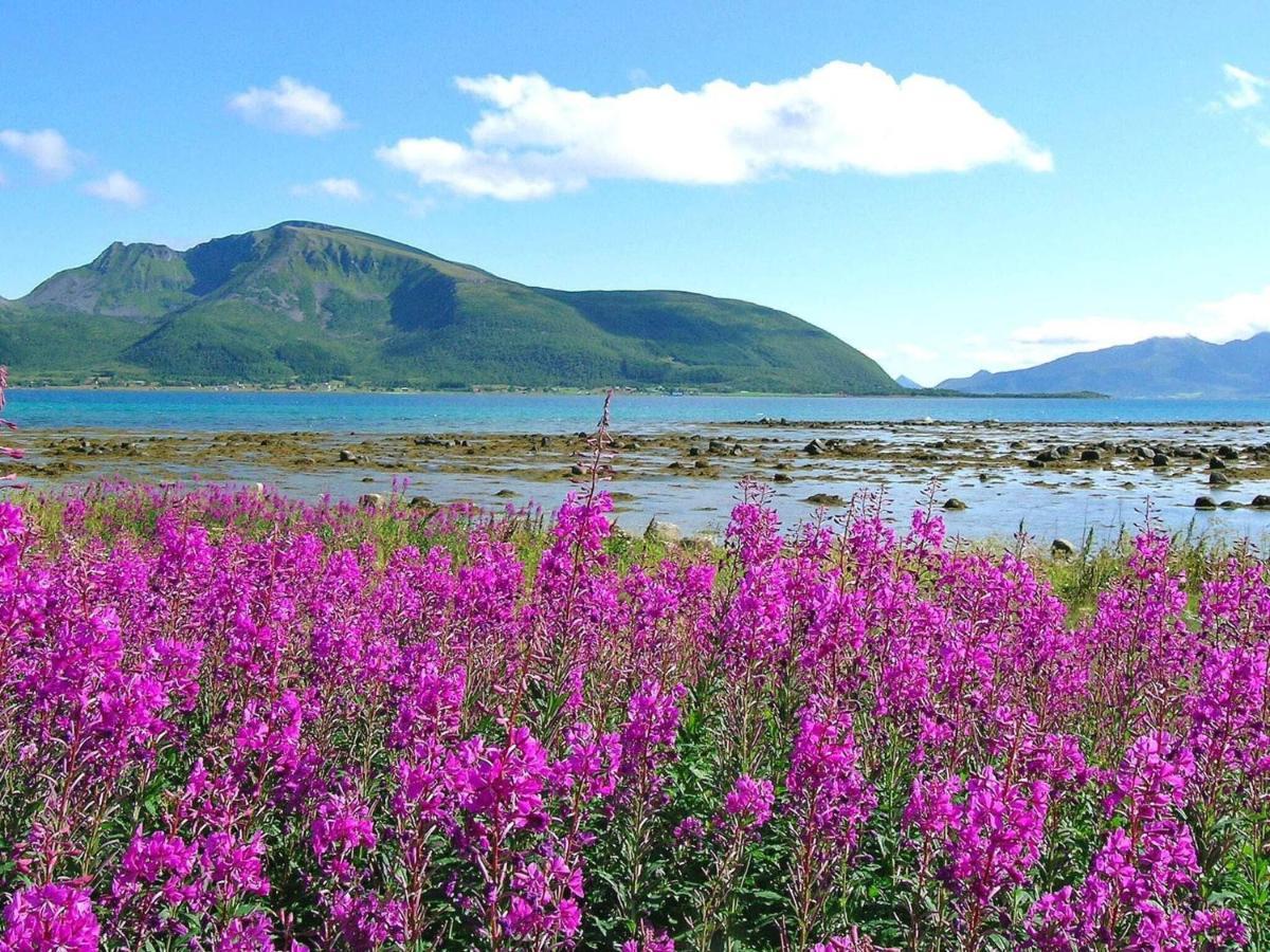 Holiday Home Sortland III 外观 照片